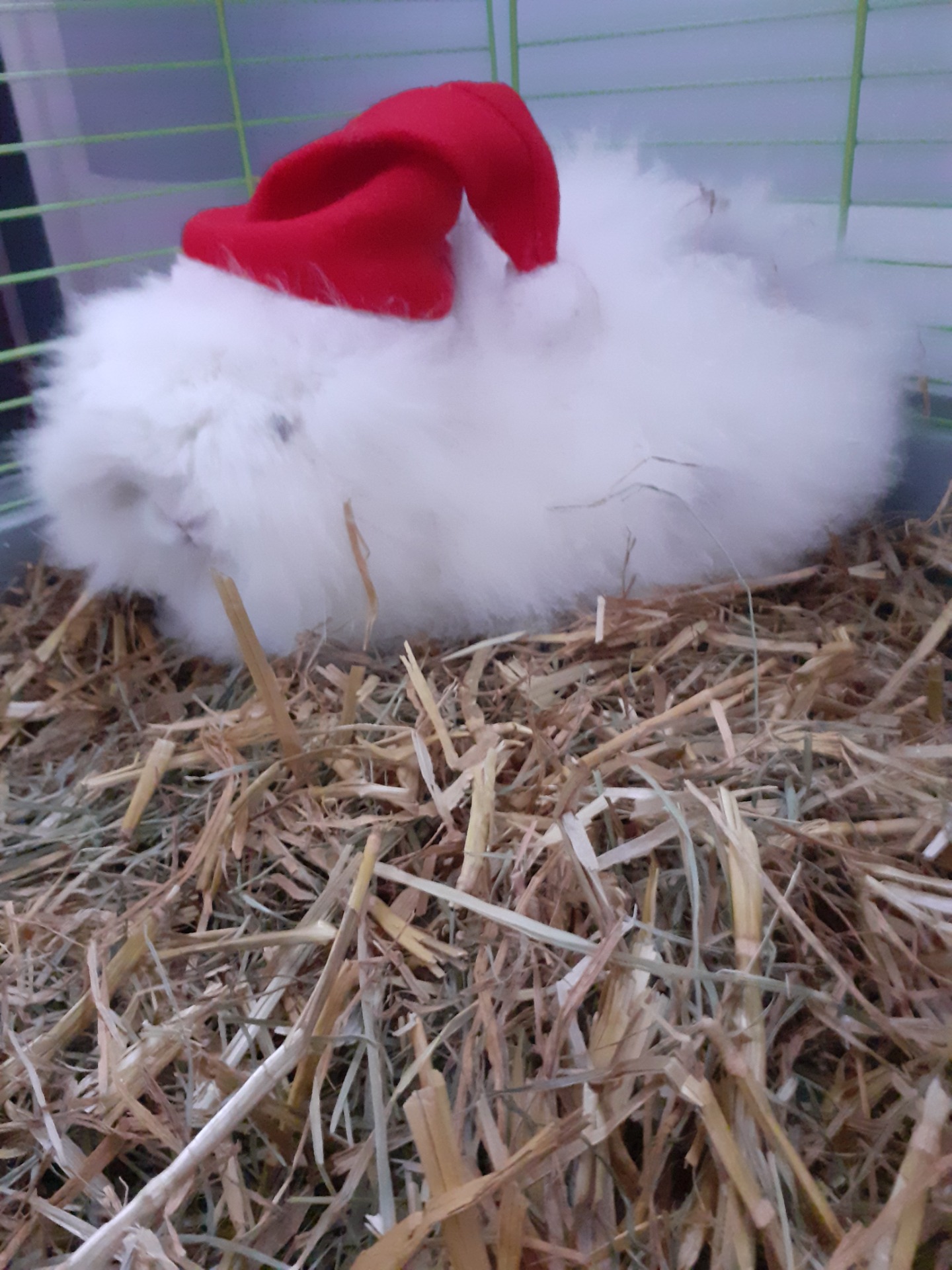 Ma Mini Ferme